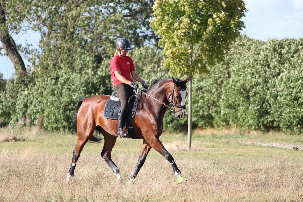 Anden særlig race Atletica - August 2014, hjemme, her rider Katarina min lillesøster :) billede 2