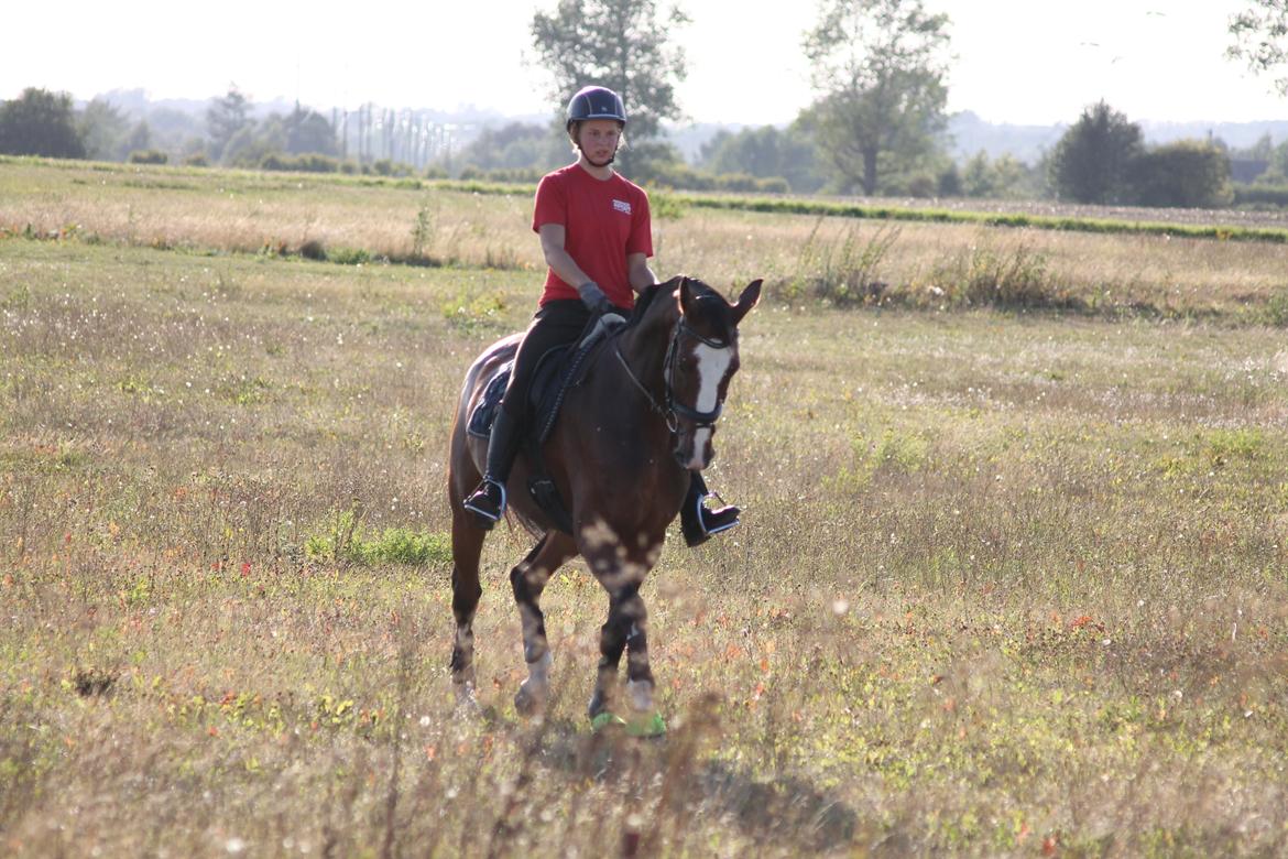 Anden særlig race Atletica - August 2014, hjemme, her rider Katarina min lillesøster :) billede 1