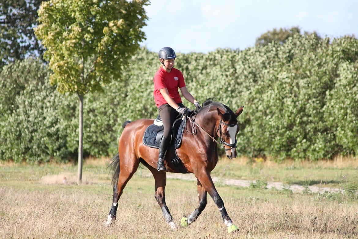Anden særlig race Atletica - August 2014, hjemme, her rider Katarina min lillesøster :) billede 3