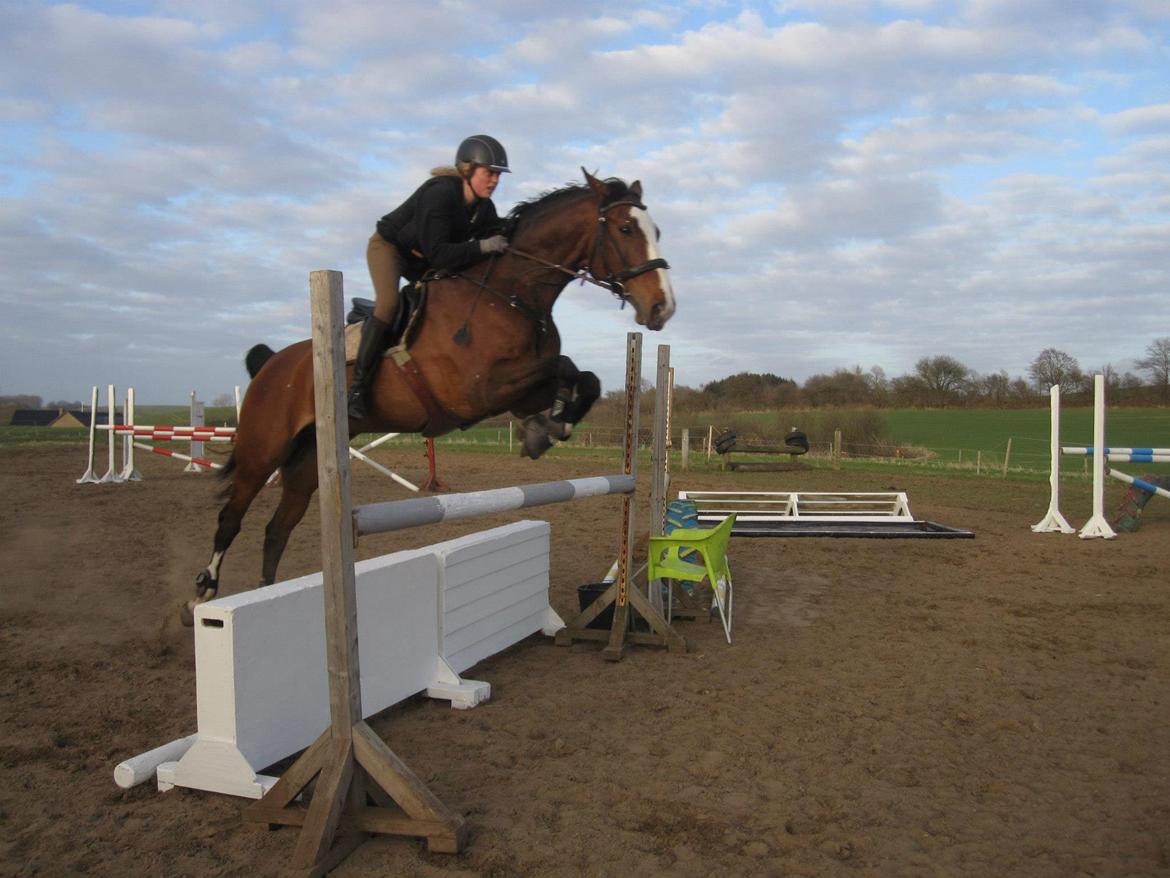 Anden særlig race Atletica billede 7