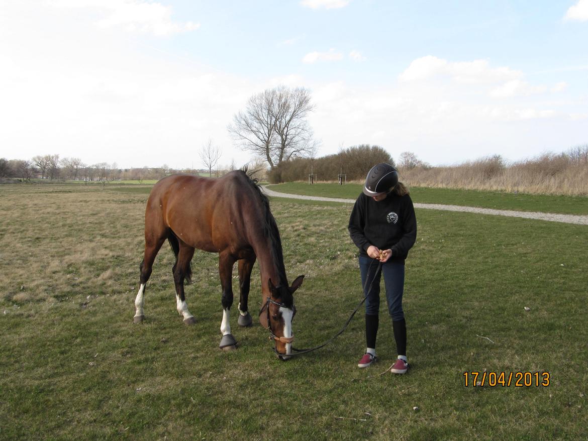 Anden særlig race Atletica billede 11