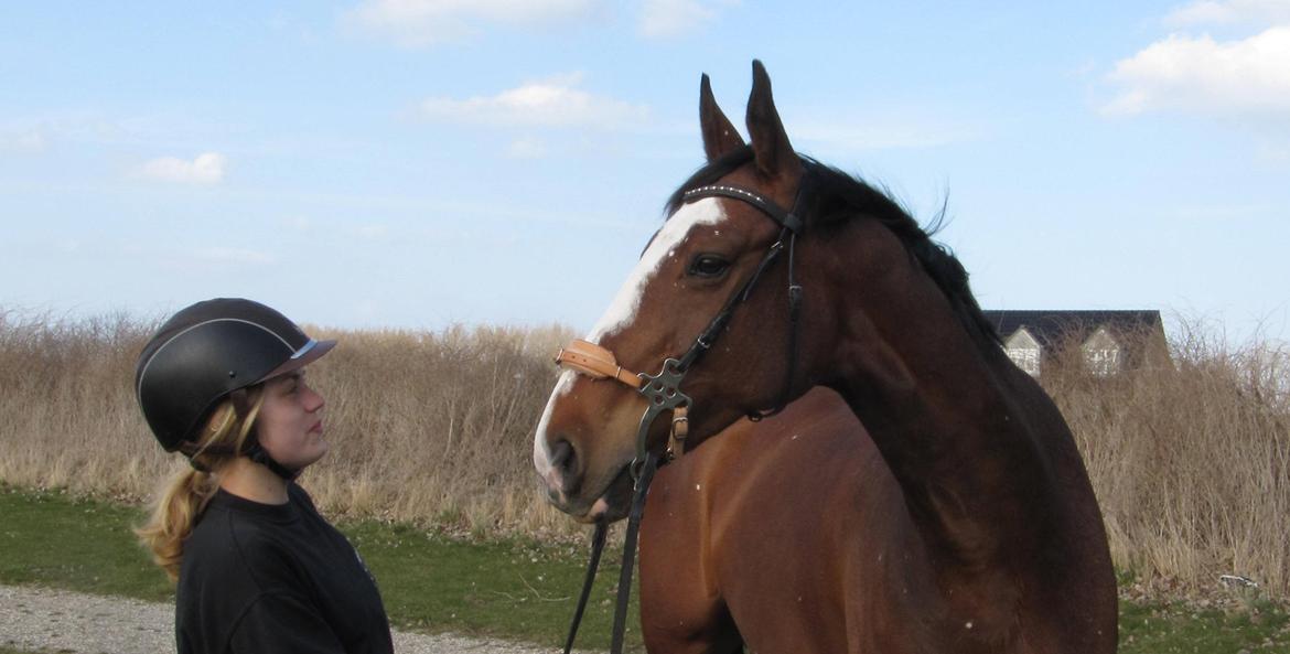 Anden særlig race Atletica billede 12