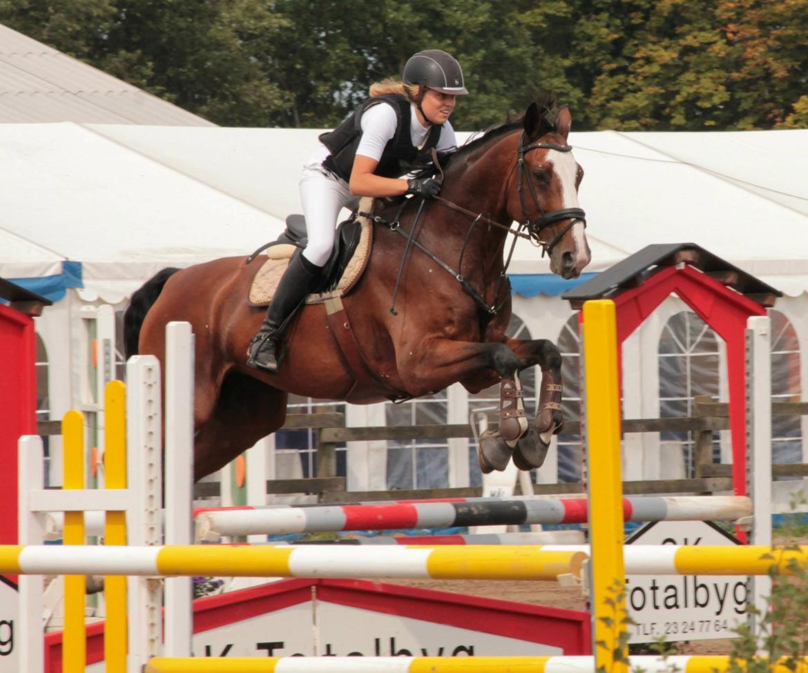 Anden særlig race Atletica - FMR, 2013 billede 10