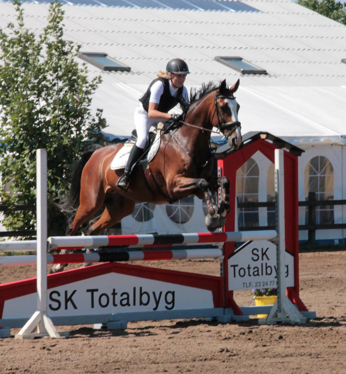 Anden særlig race Atletica - FMR, 2013 billede 9