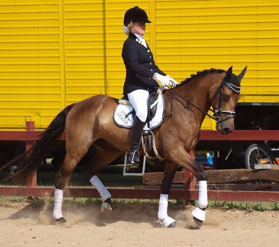 DSP Zorba billede 11