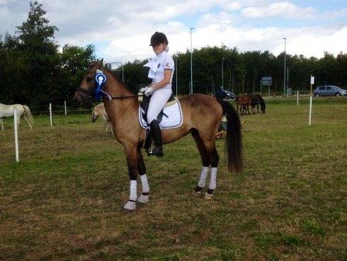 DSP Zorba billede 12