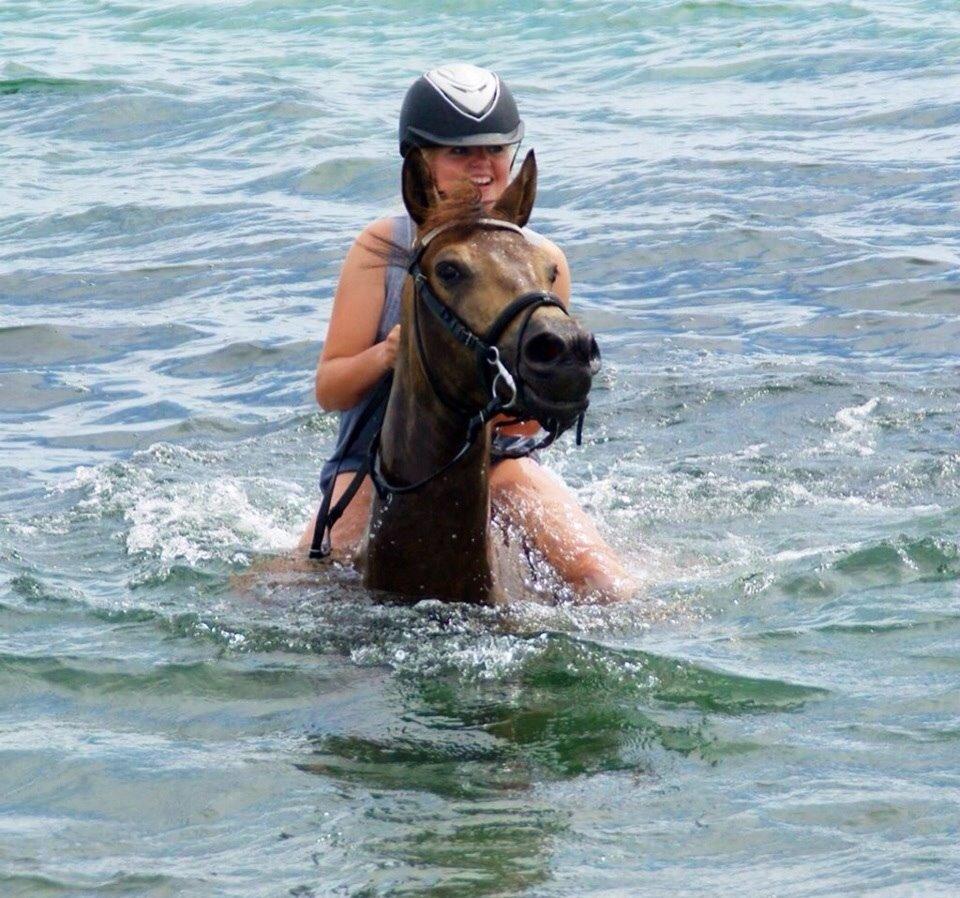 DSP Zorba billede 20