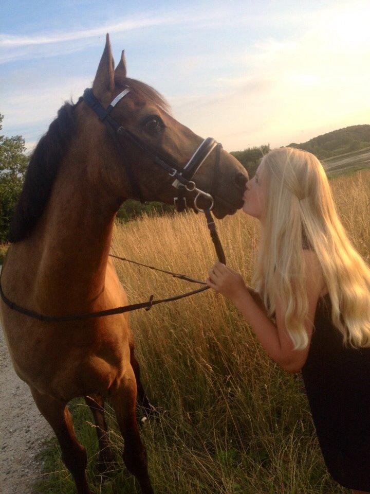 DSP Zorba billede 24