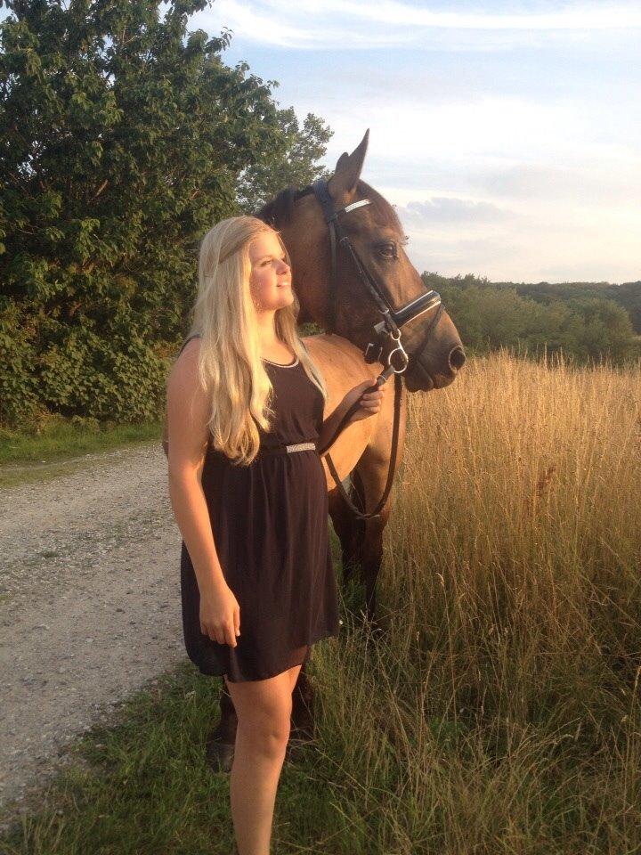 DSP Zorba billede 25