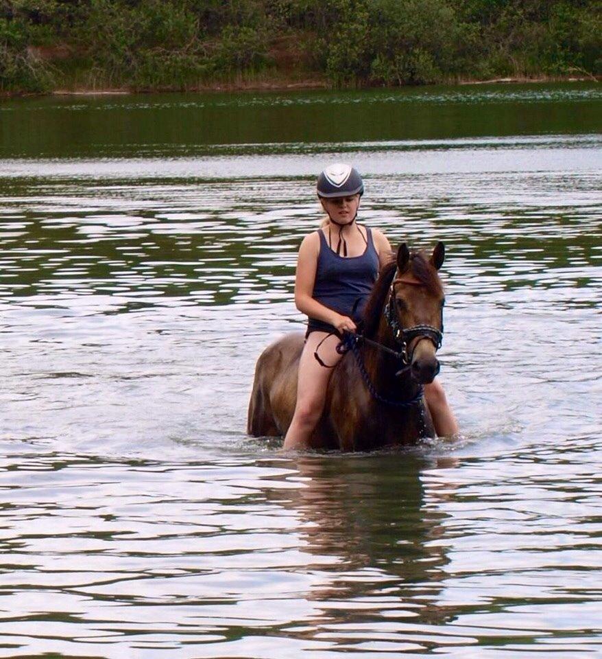 DSP Zorba billede 27