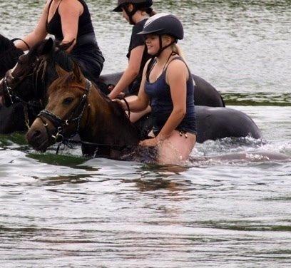 DSP Zorba billede 31