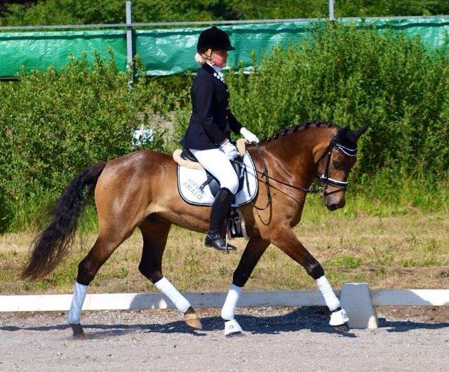 DSP Zorba billede 34