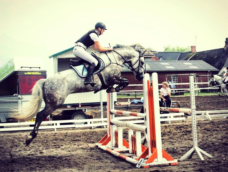 Anden særlig race Bech's Padraigh aka. Paddy :-) - Verdens sejeste Lille P! 3. plads i LC** <3 billede 2