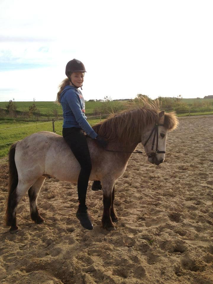 Anden særlig race Buller <33 billede 4