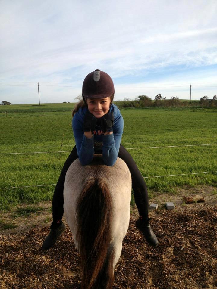 Anden særlig race Buller <33 billede 5