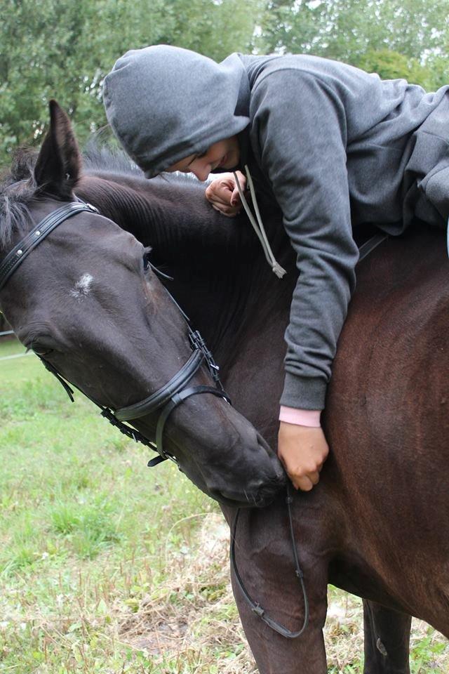 Traver Hjalte M - Velkommen til Hjalte M's hestegalleri's profil. billede 1