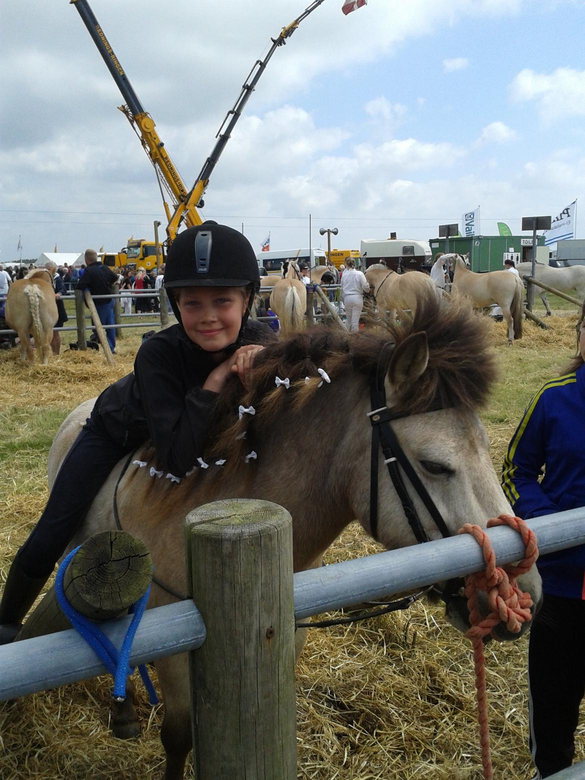 Anden særlig race Buller <33 billede 8