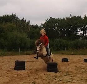 Anden særlig race Buller <33 billede 1