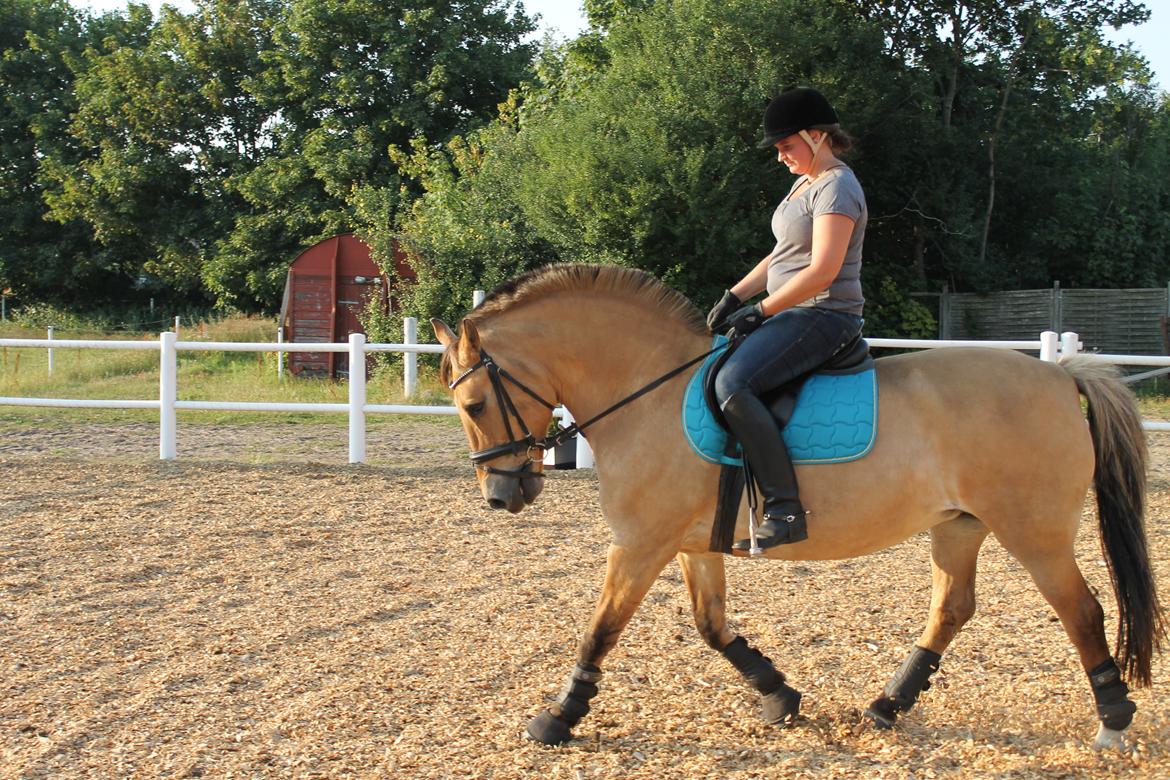 Anden særlig race Mette billede 6
