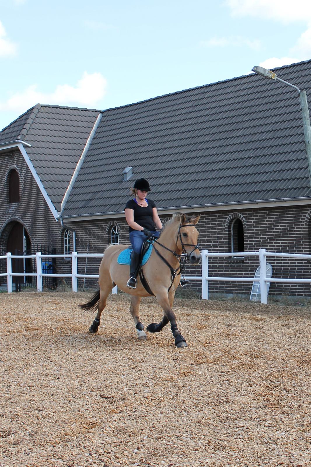 Anden særlig race Mette billede 17