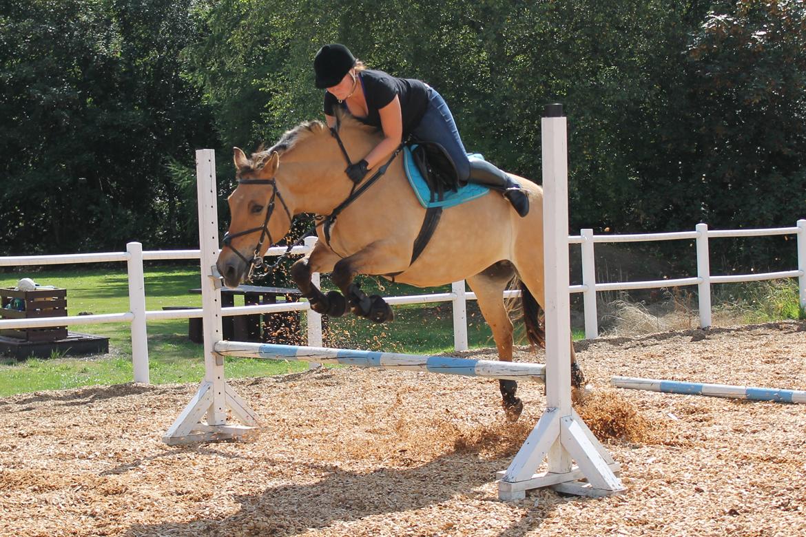 Anden særlig race Mette billede 20