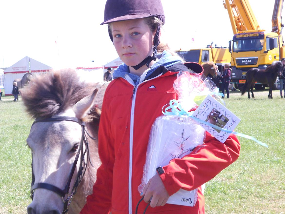 Anden særlig race Buller <33 billede 20