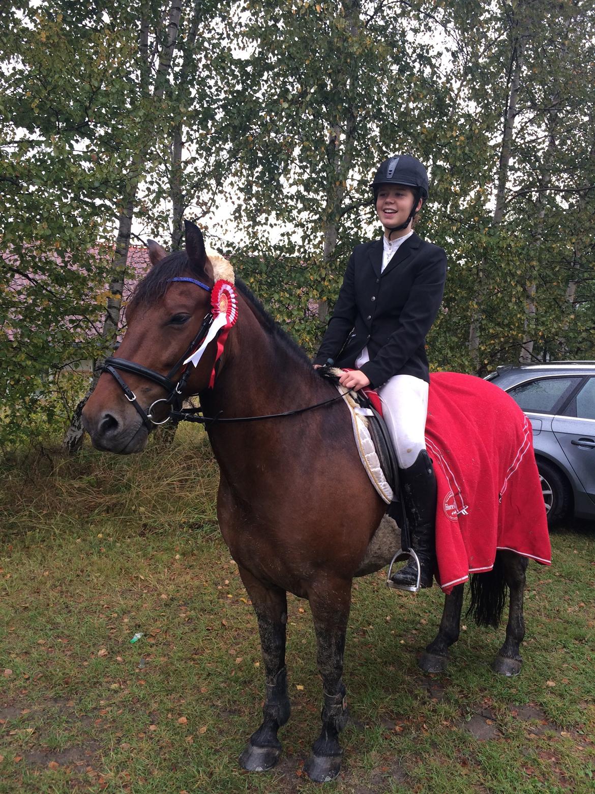 Anden særlig race Charley - LC3 på Egedal. 1. Plads 73,54 % billede 5