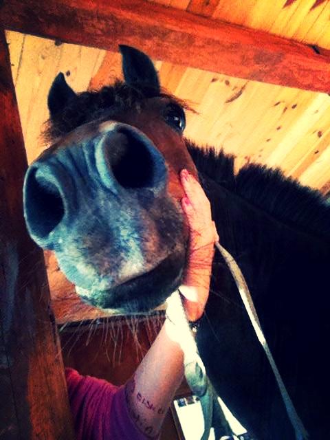 Anden særlig race  | Ponyo Chusteau billede 17