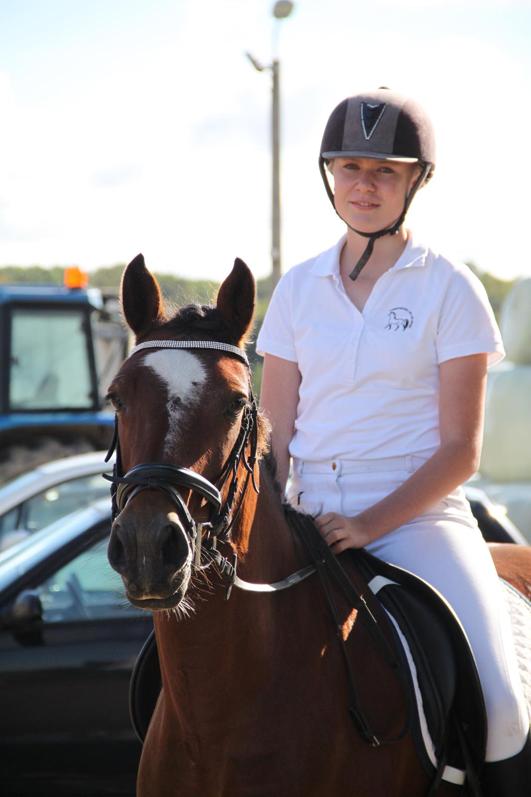 Welsh Partbred (Sec F) Lykkegaards hopla - Første stævne sammen <3 billede 8