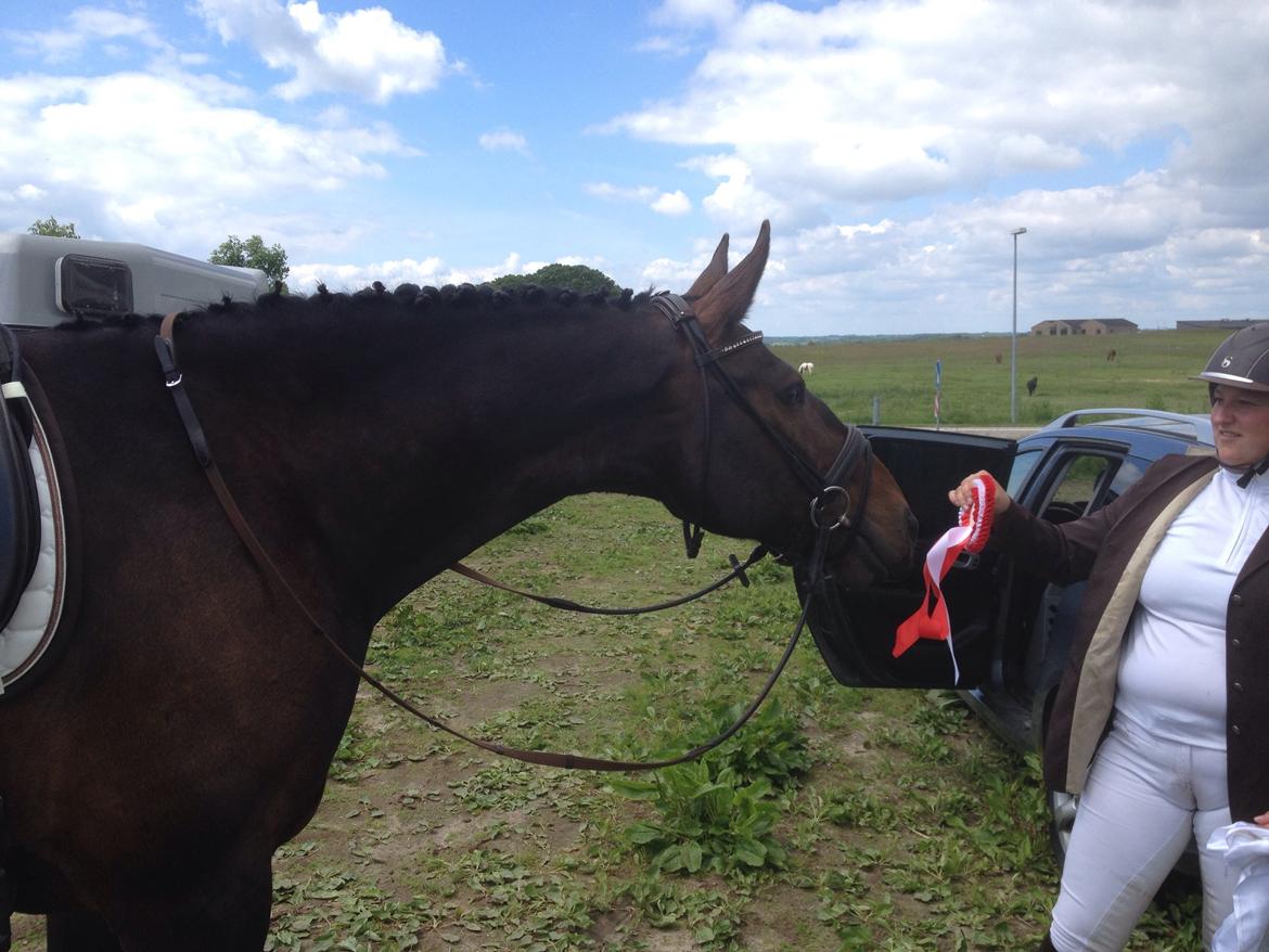 Oldenborg sentinali af danevang billede 23