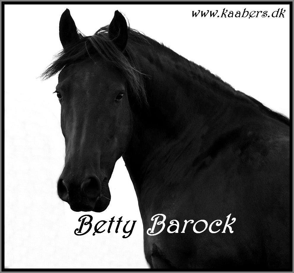 Barockpferd " Betty Barock " billede 2