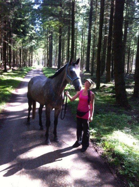 Dansk Varmblod Lotus Esprit W *SOLGT* - Første skovtur 3 September 2014 billede 44