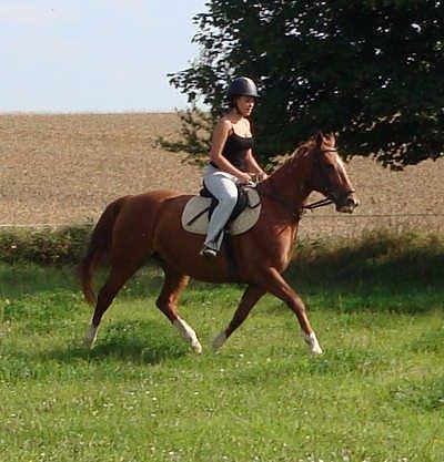 Frederiksborg Vivaldi´s Tess - Vivaldi´s Tess rides af Tina. 2011. billede 13