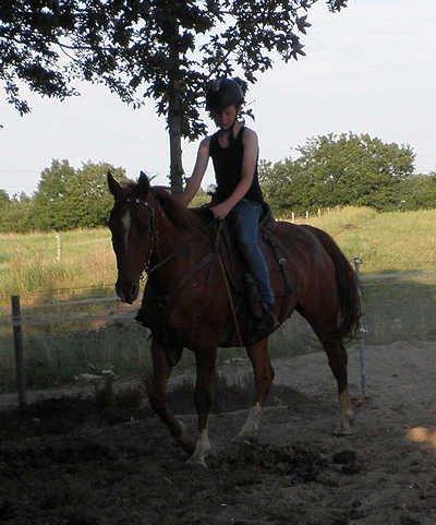 Frederiksborg Vivaldi´s Tess - Vivaldi´s Tess rides af Kewin 2012. billede 14