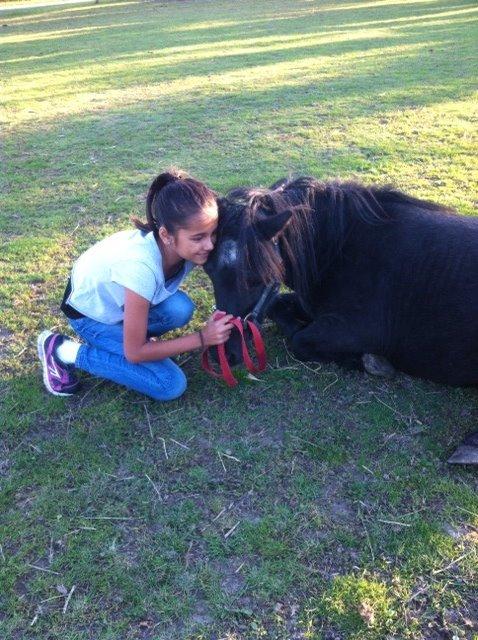 Shetlænder ~Tøsen~ min lille madonna<3 billede 5