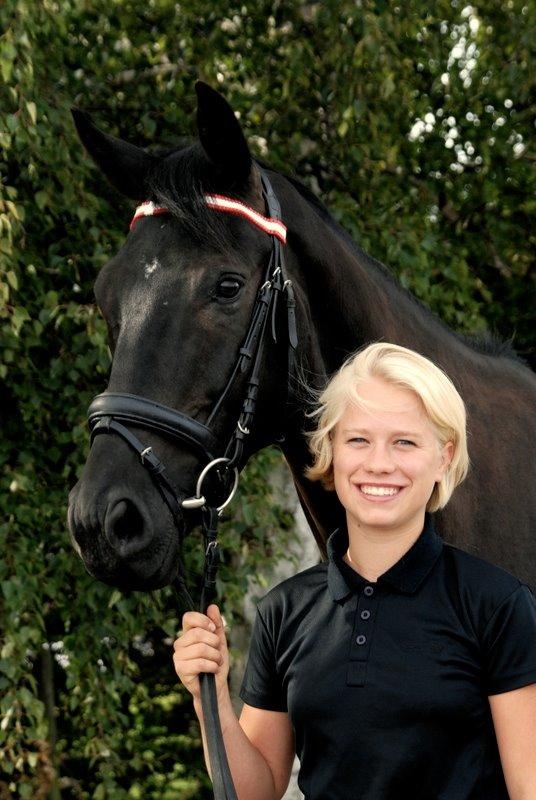 Hollandsk Varmblod Diamond K billede 16