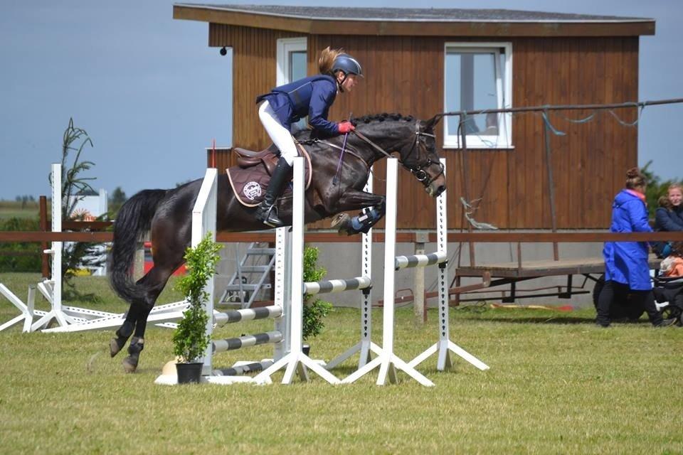 DSP Samara billede 4