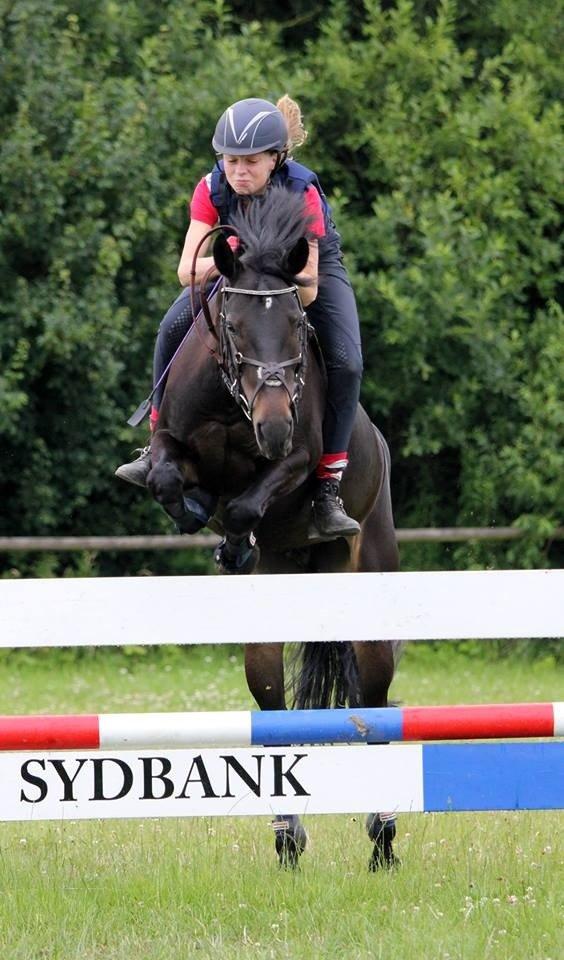 DSP Samara - 105 uden sadel  billede 7