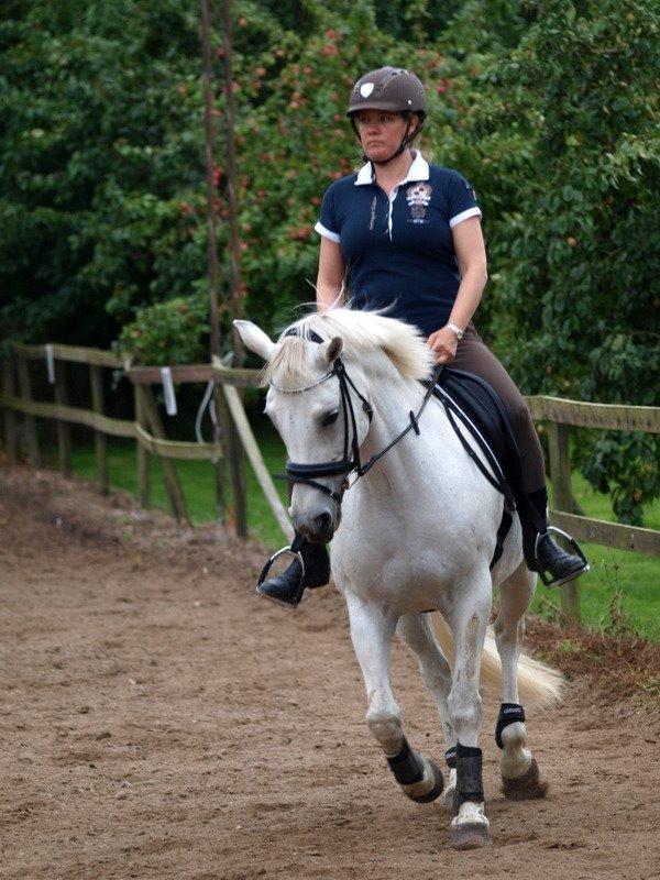 Connemara Barholts Blue Cocktail billede 3