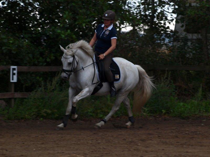 Connemara Barholts Blue Cocktail billede 2