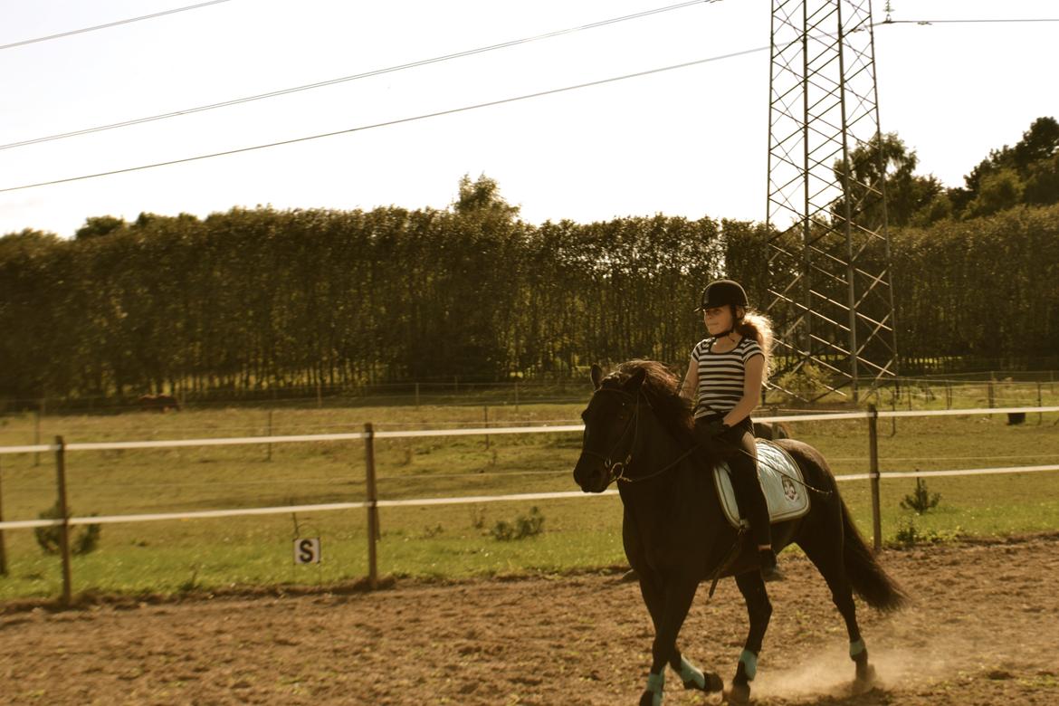 Islænder Baldur (verdens bedste) - You are the smile on my face! ©  billede 13