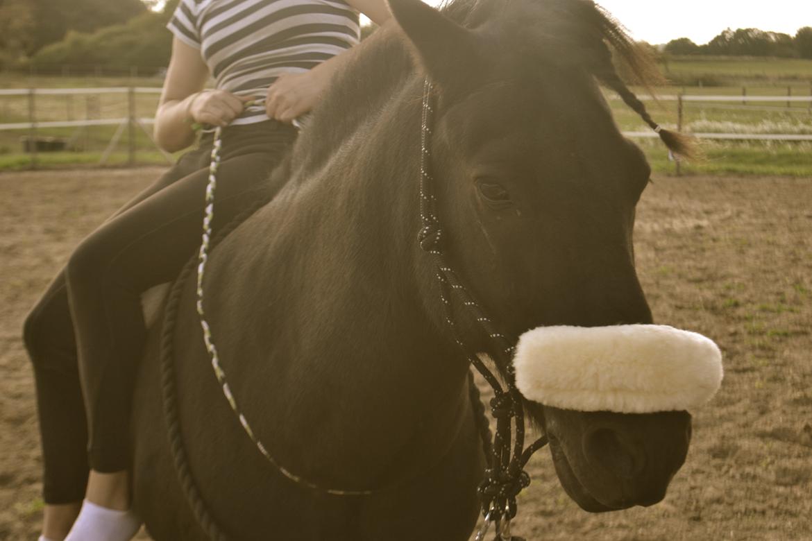 Islænder Baldur (verdens bedste) - Elsker, elsker, elsker ham <3 billede 16