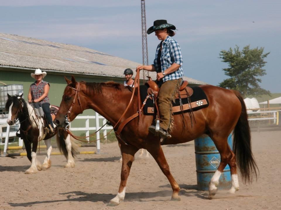 Paint JB Gunning Victory billede 9