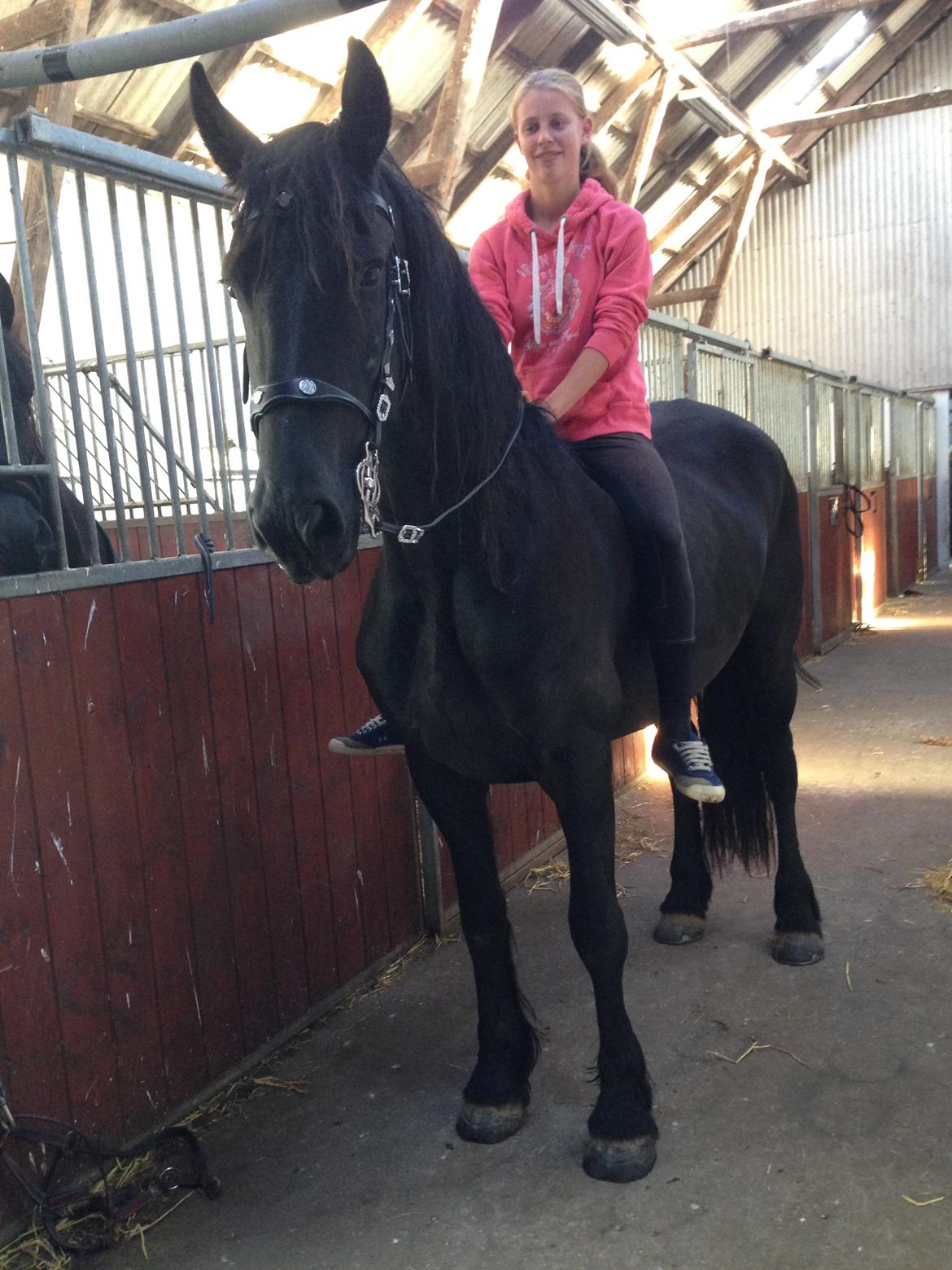 Frieser Hilde fan breuningswyck billede 10