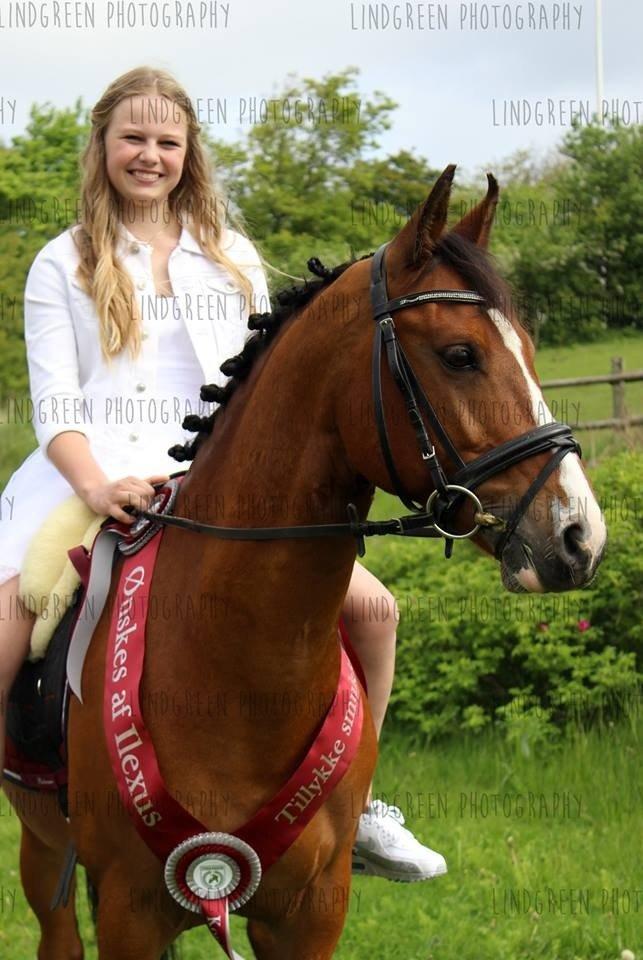 DSP Ilexus billede 8