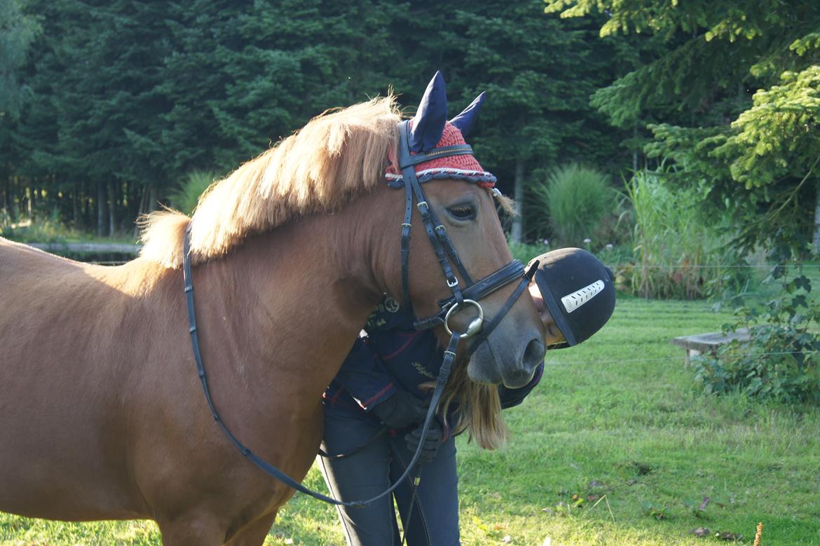 Anden særlig race Rosa - Min lille babypony billede 49