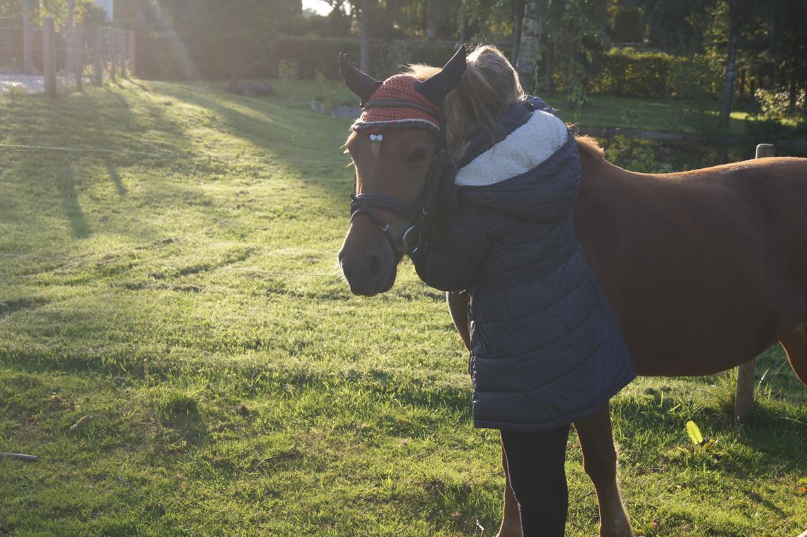 Anden særlig race Rosa - For altid vores lille prinsesse!<3 billede 50