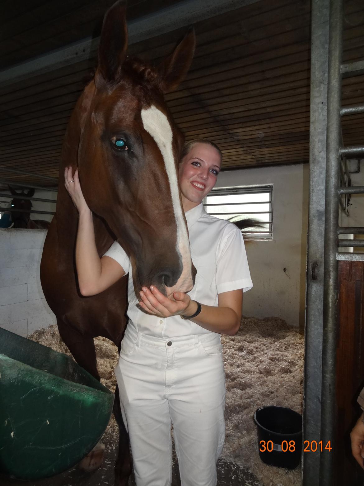 Frederiksborg Vestergårds Meleisa - Kåring og Championat i Brande 2014, Fløjhoppe og Årets hoppe billede 2