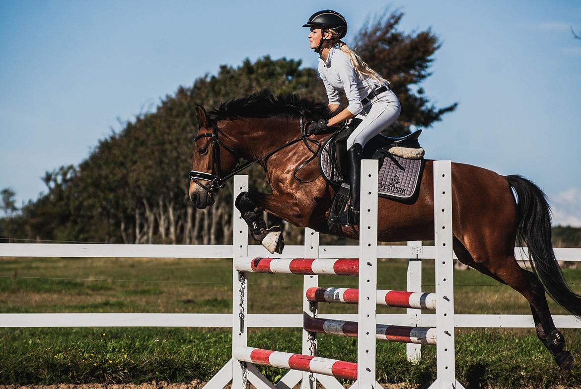 Anden særlig race kiara billede 3