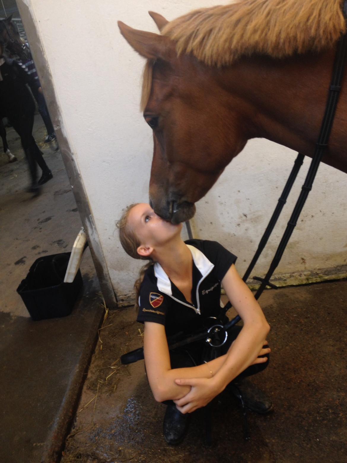 Anden særlig race Speedy billede 8